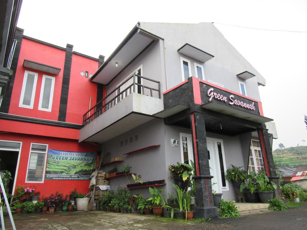 Green Savannah Homestay Syariah Diyeng Eksteriør bilde
